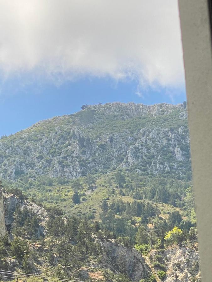 Chardonnay Guest Studio Rooms With Great View For Nature Lovers Kerínia Kültér fotó